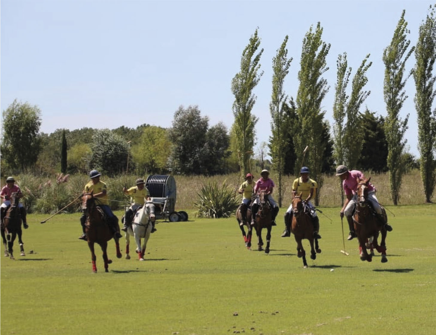 Argentina Polo Holidays|Home