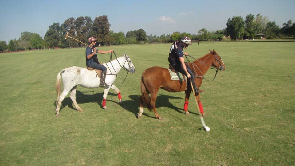 Polo Holidays