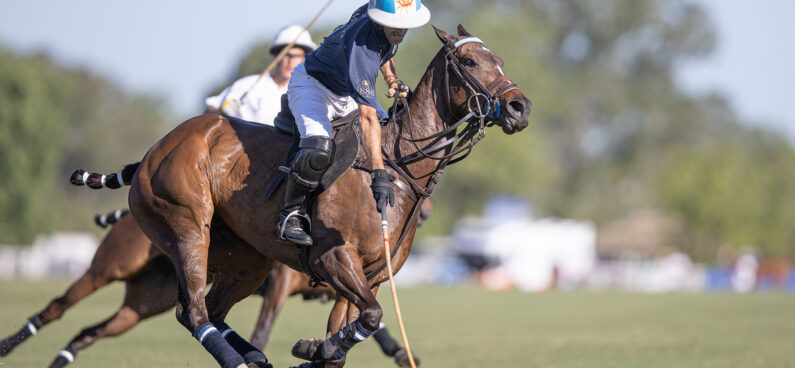 All About Polo, Handicaps