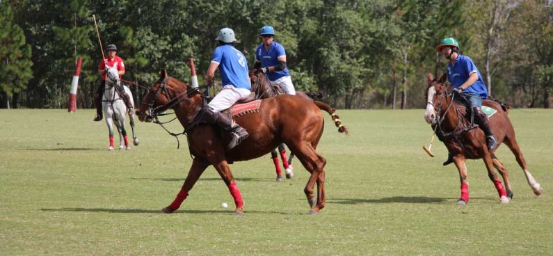 Fouls and Penalties in polo