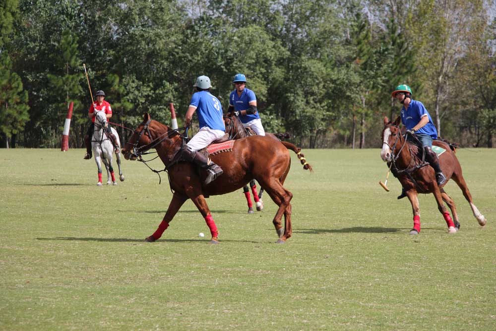 Fouls and Penalties in polo