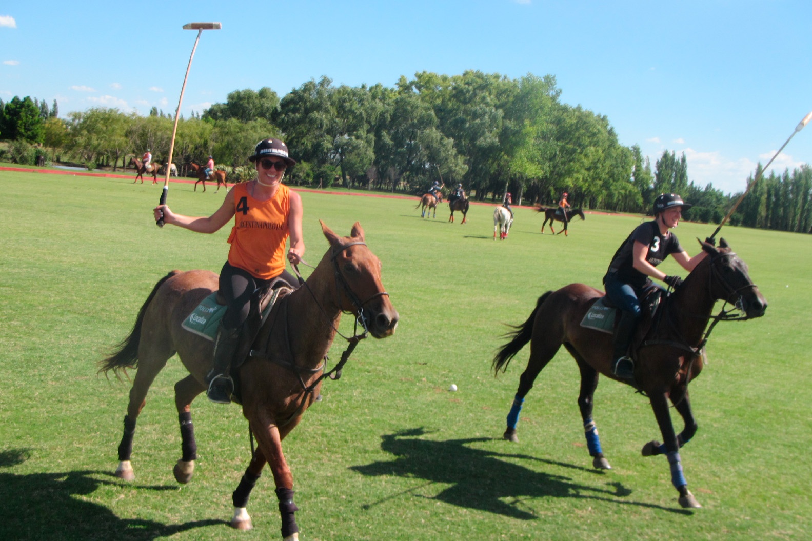 Polo Lessons