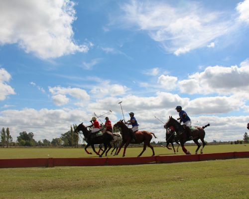 Argentina Polo Day