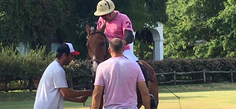 Argentina Polo Holidays | Enjoying Polo with Safety | Part 2