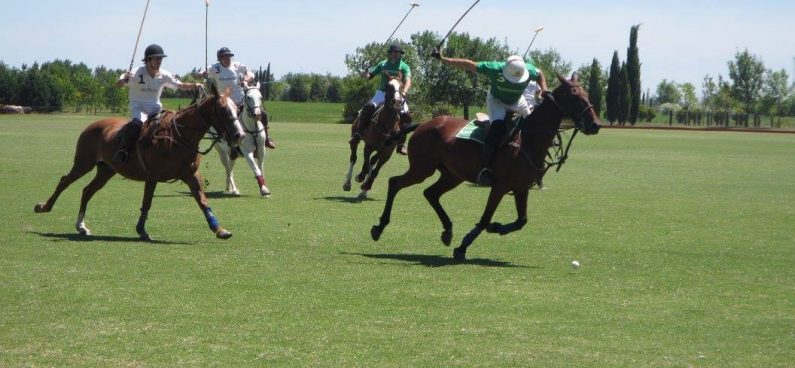 Polo Holidays