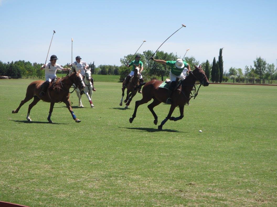 Polo Holidays