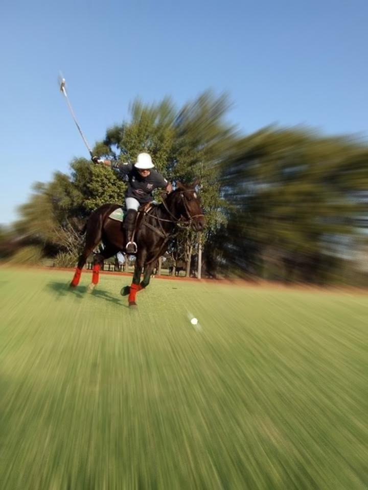 Enjoying Polo