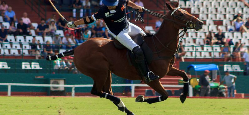 polo in argentina