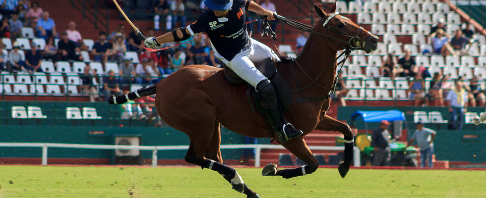 polo in argentina