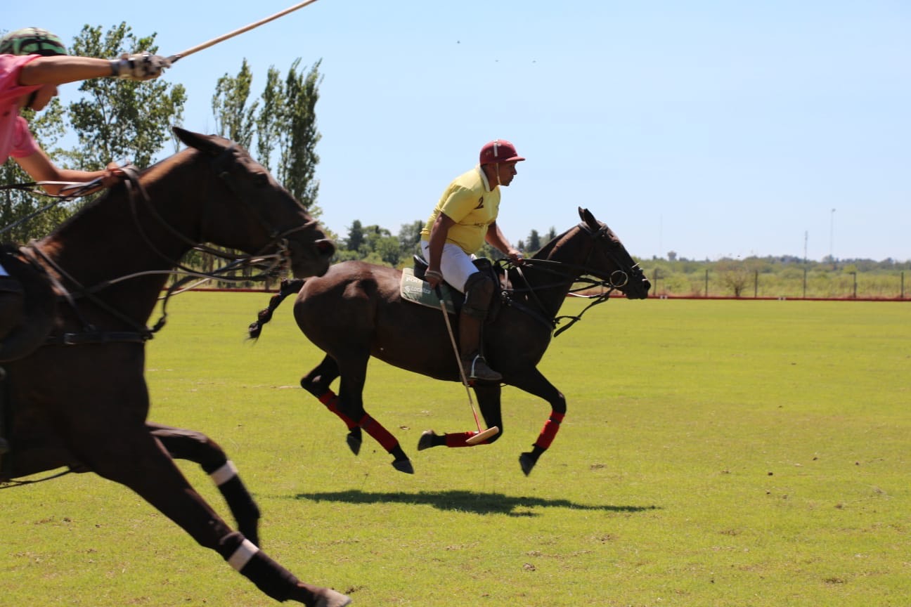 Polo Ball