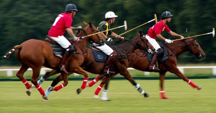 Polo Fundamentals