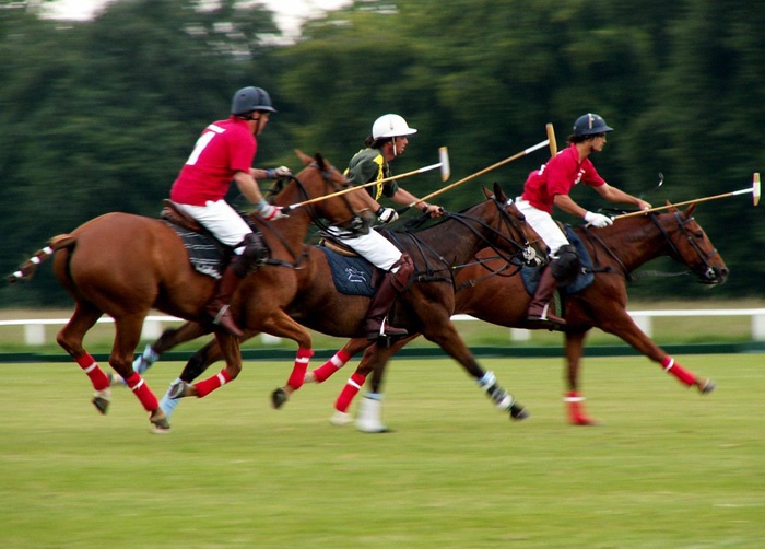 Polo Fundamentals