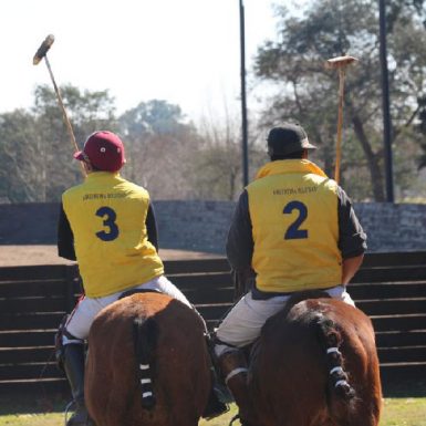 Polo players facing an arena polo field