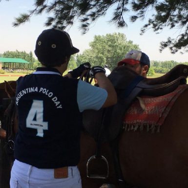 polo player saddling polo horse