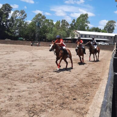 Arena polo match in Argentina