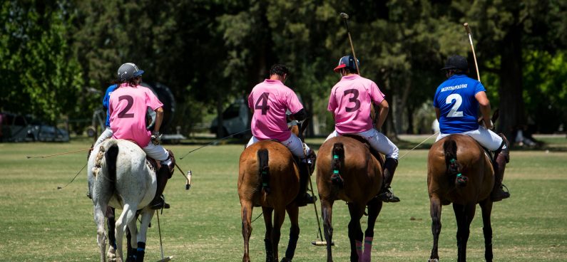 polo practice