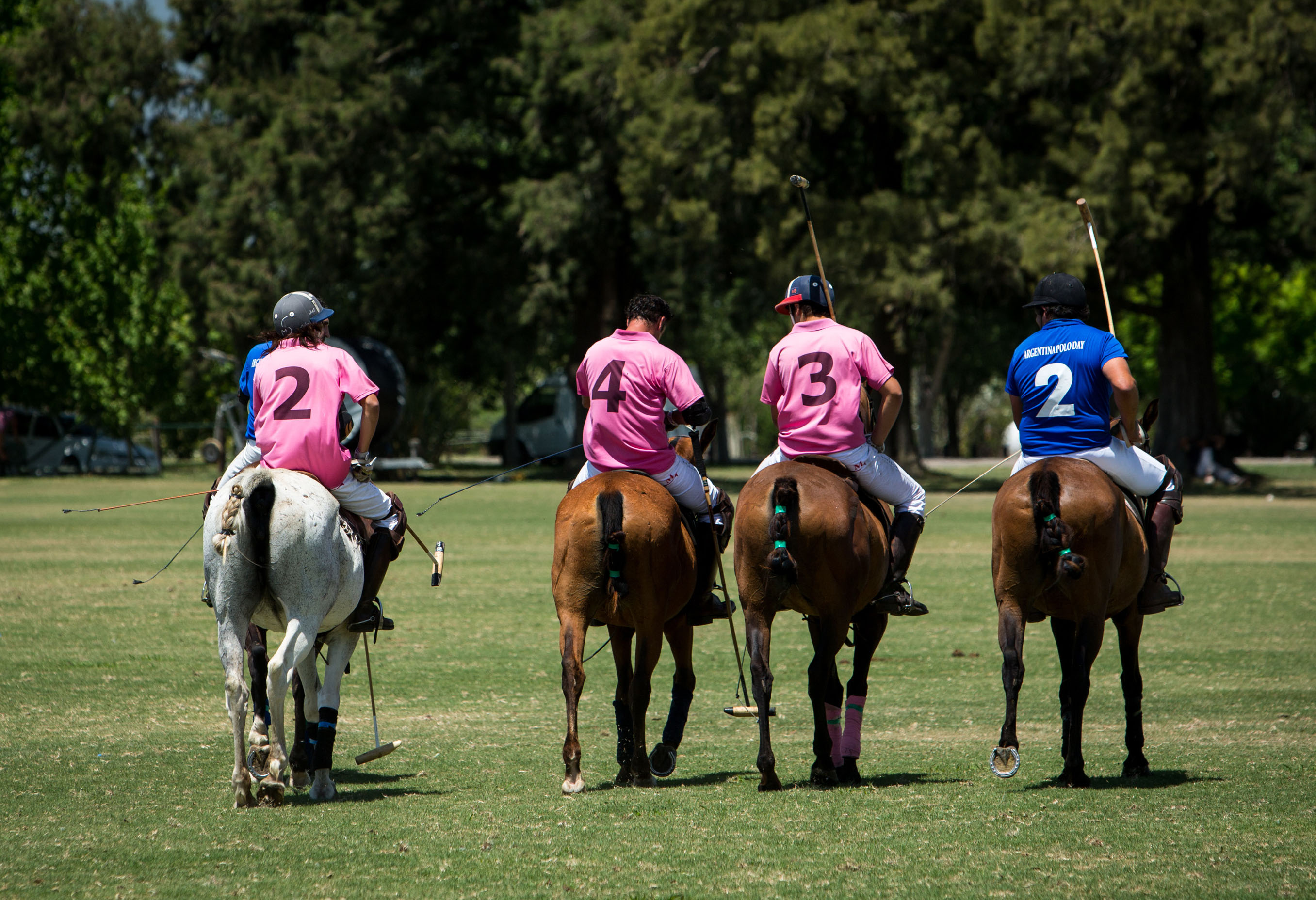 Tips for a Healthy Polo Practice - Argentina Polo Holidays