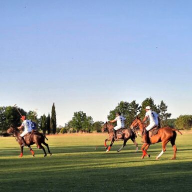 polo match in grass field in Argentina