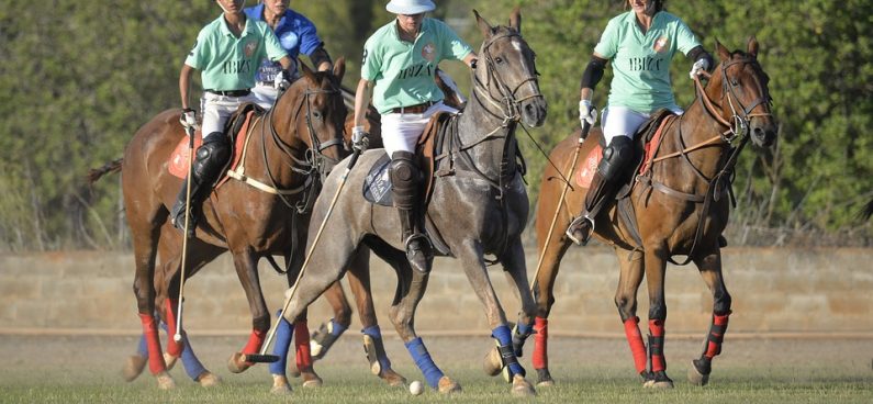 injuries in Polo