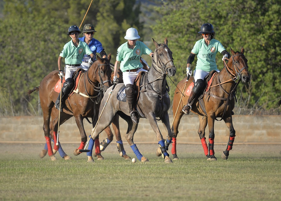 injuries in Polo