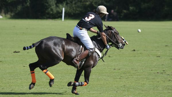 polo players