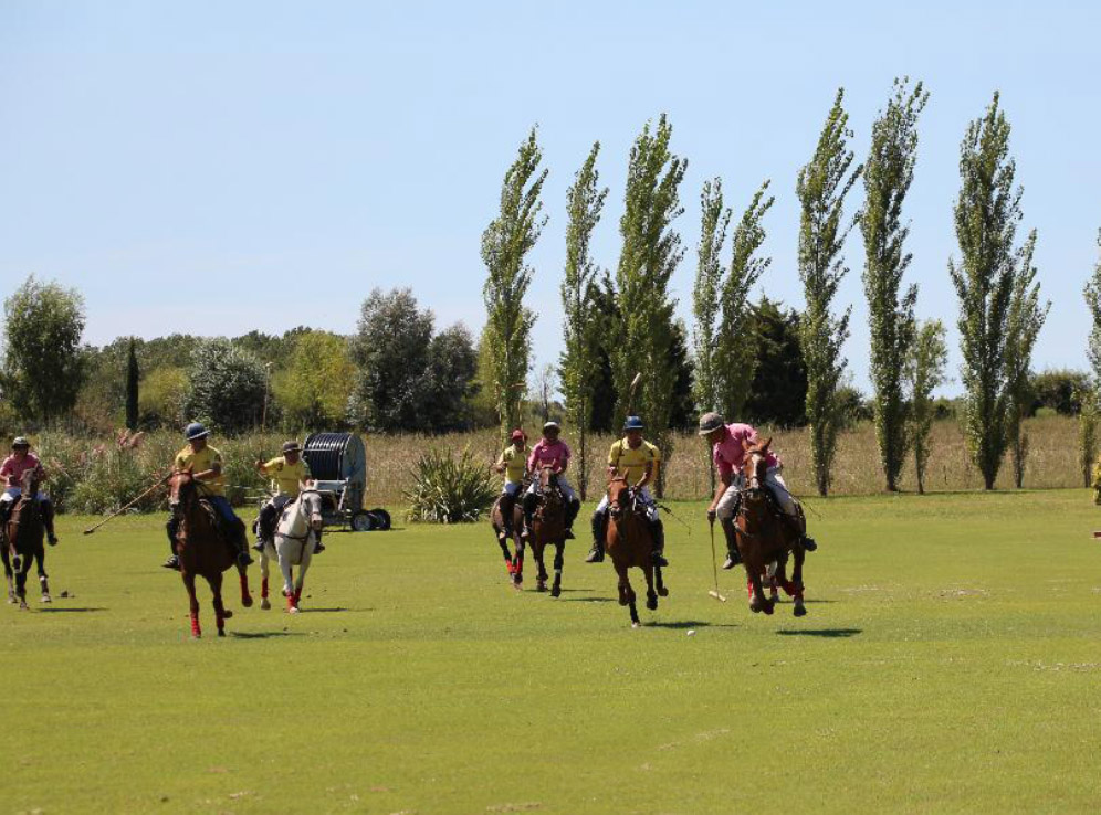 polo players