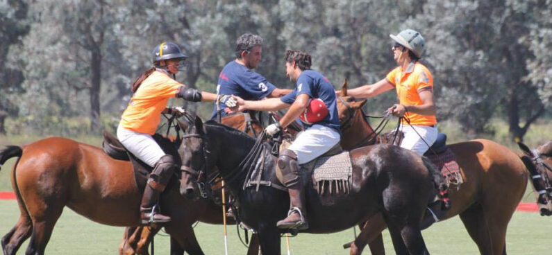 polo team sport