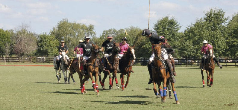 polo players