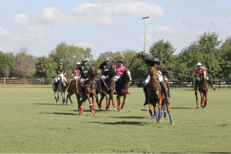 polo players