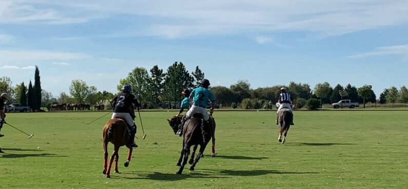 Argentina Polo Holidays | Organizing Your Polo Team