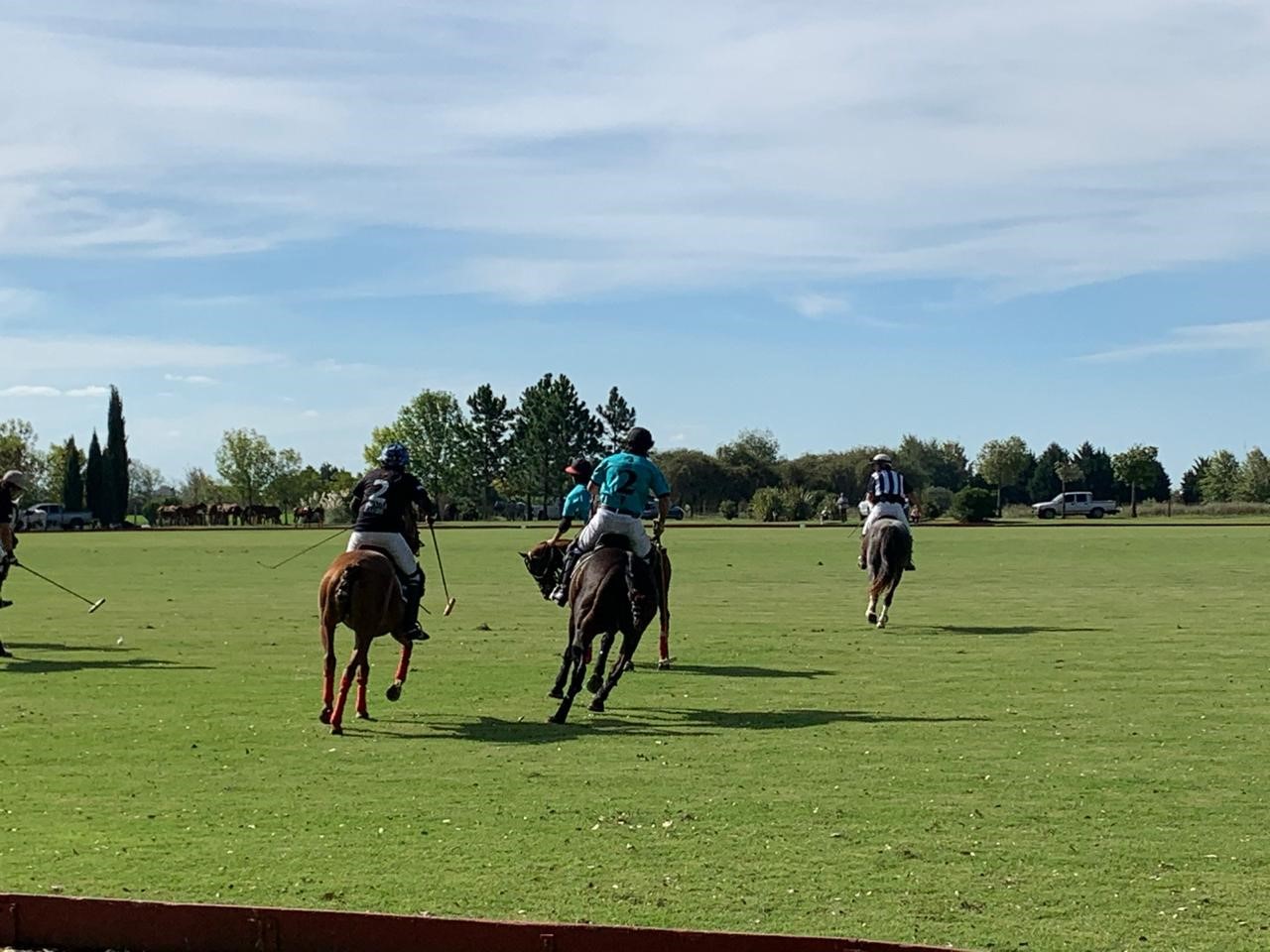 Argentina Polo Holidays | Organizing Your Polo Team