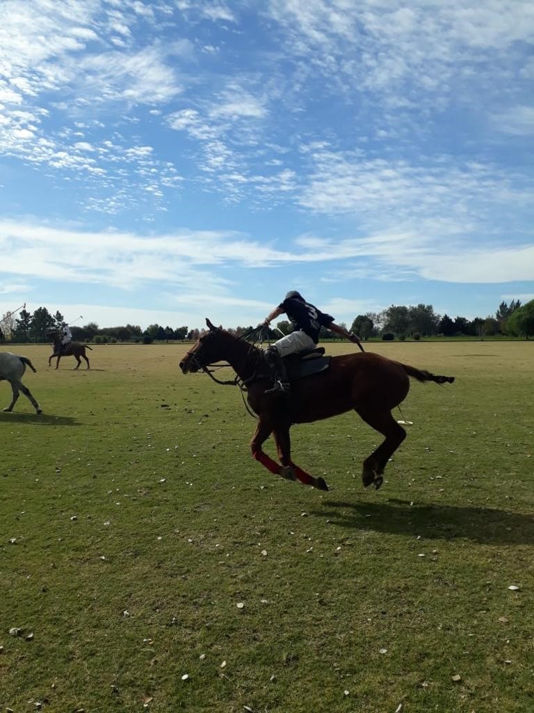 Argentina Polo Holidays | What is Stick and Ball