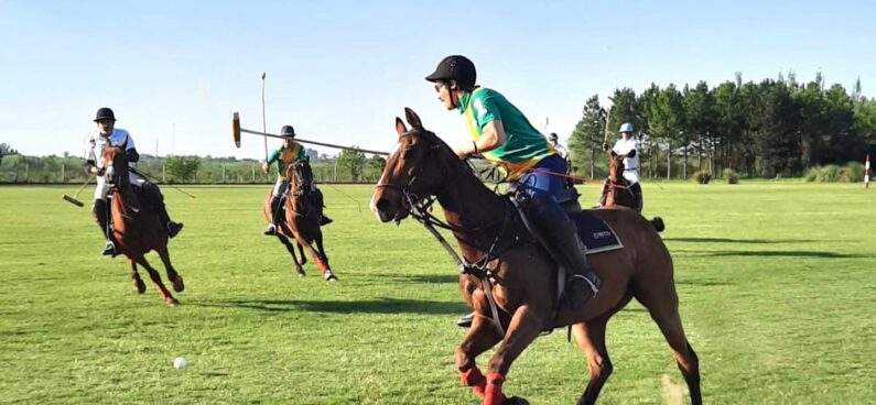 polo match in Argentina