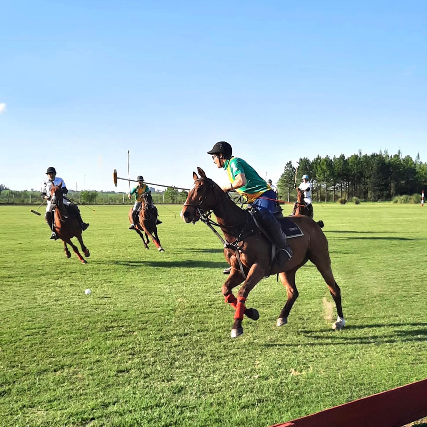 polo match in Argentina