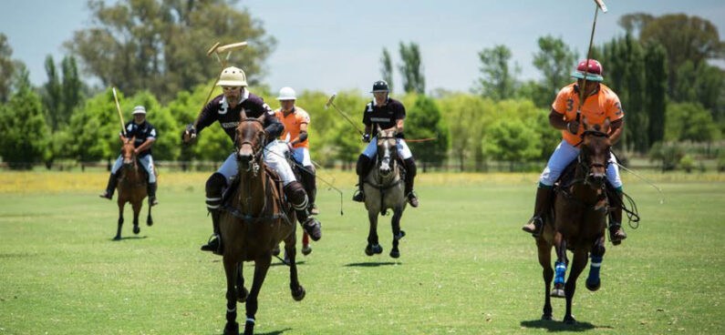 polo players on horseback