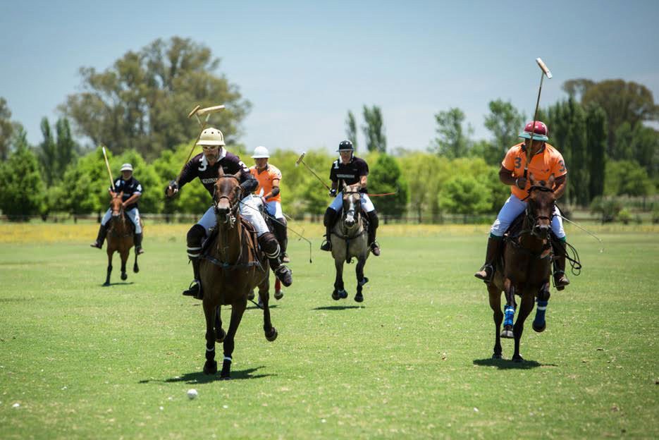 polo players on horseback