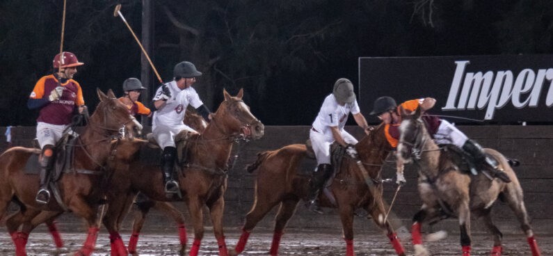 polo players playing