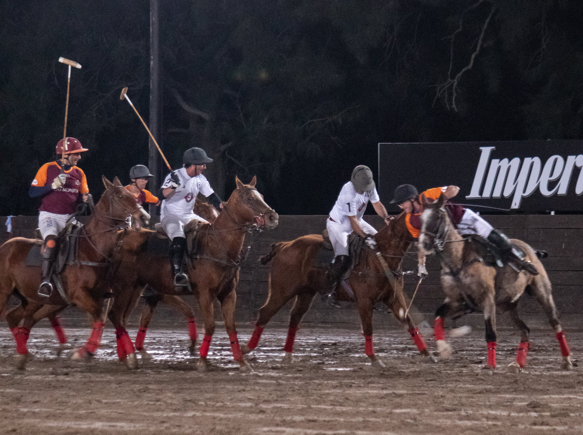 polo players playing