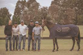 Polo Horse Hall of Fame