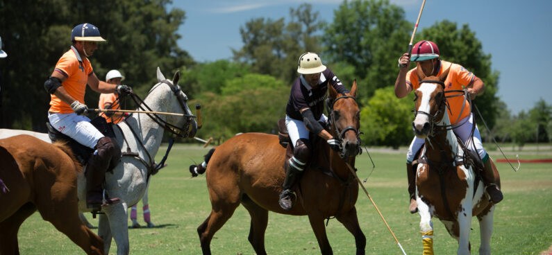 Argentina Polo Holidays | What is a handicap of a polo player?