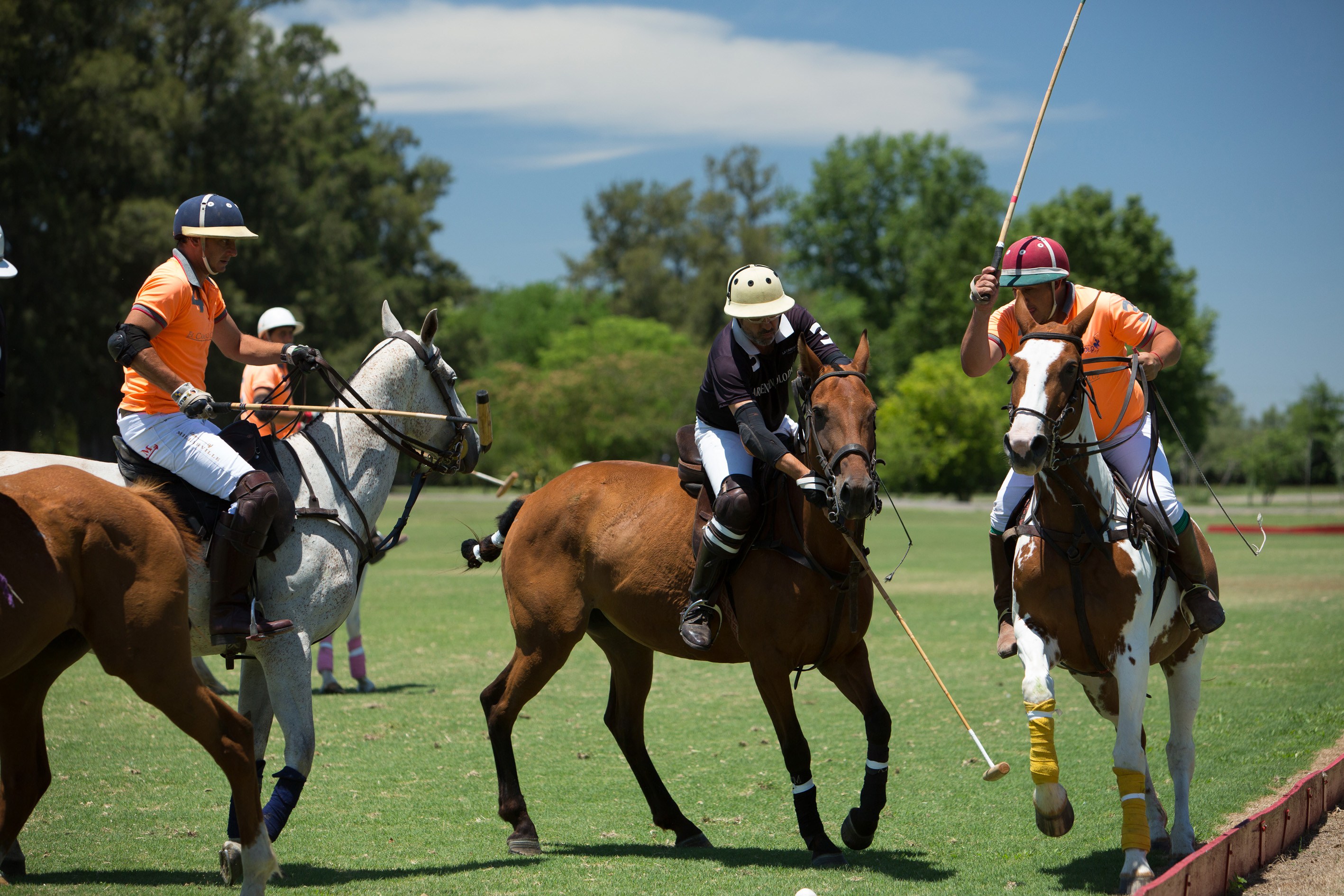 Argentina Polo Holidays | What is a handicap of a polo player?