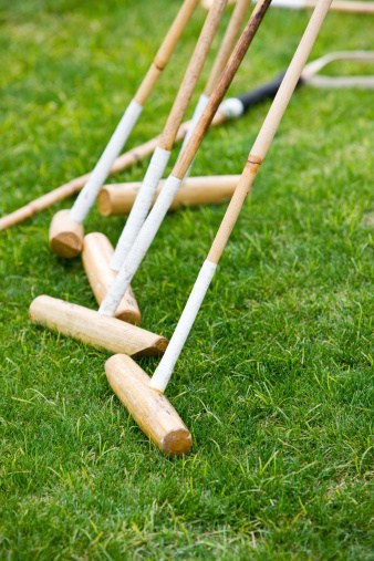 polo mallets