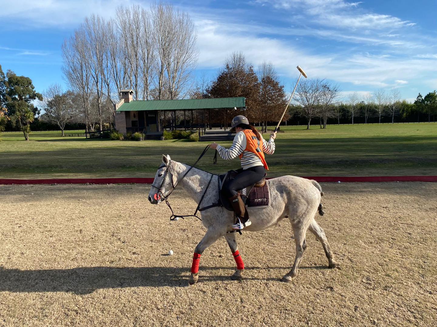 3 tips for a focused horse
