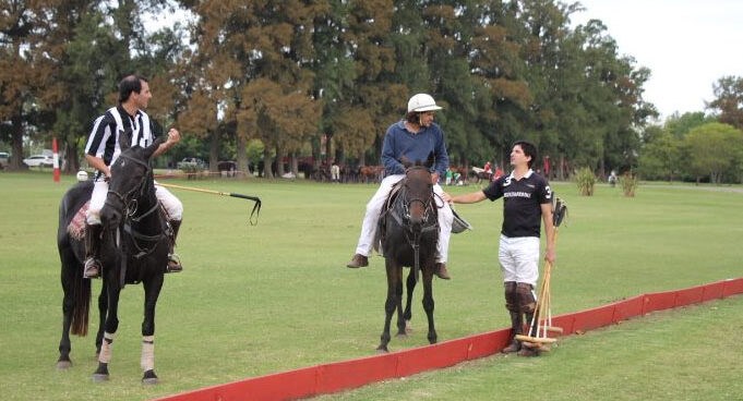 What is the training of polo ponies like?