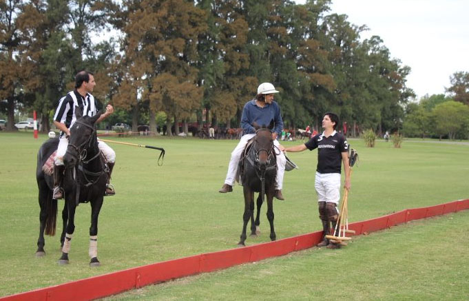 What is the training of polo ponies like?