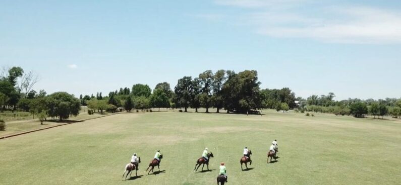 Polo Field Maintenance