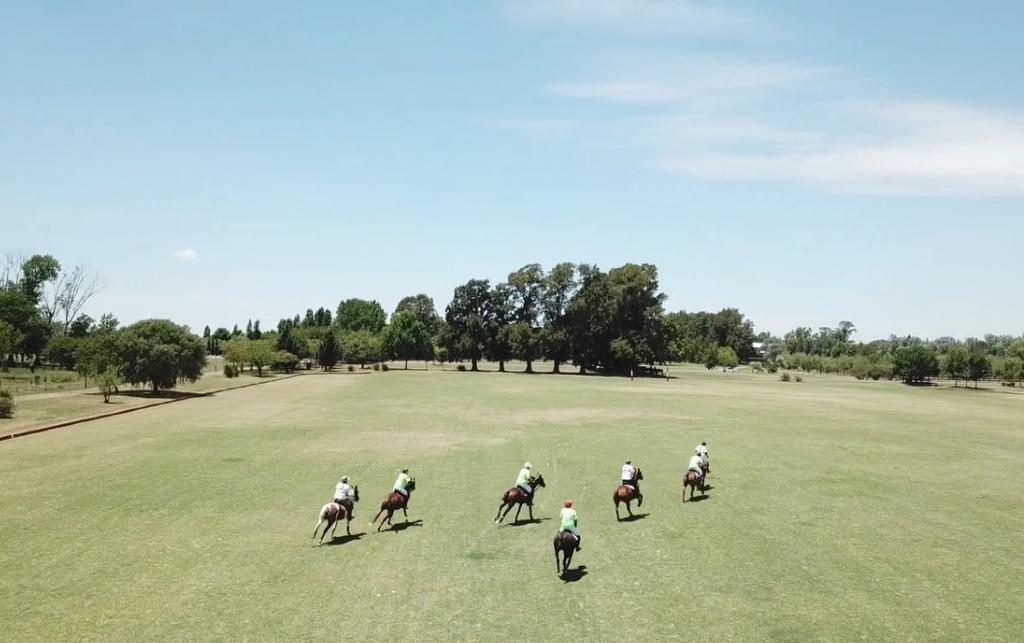 Polo Field Maintenance