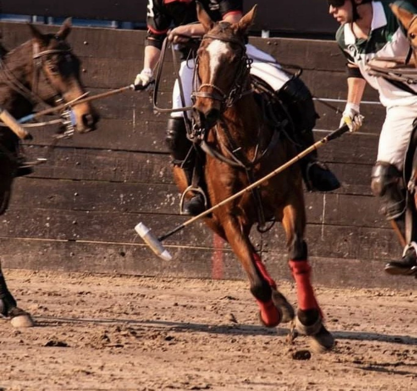 Argentina Polo Holidays | How do Polo Players get a higher Handicap?