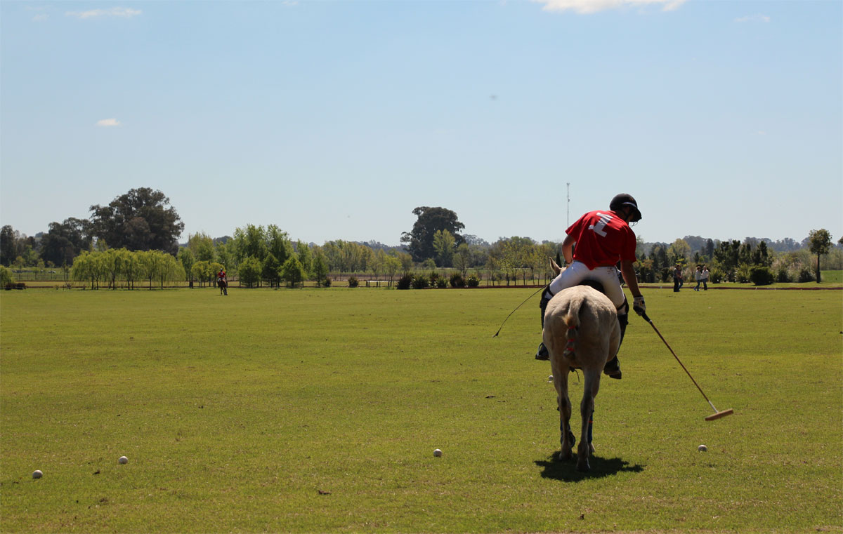 Argentina Polo Holidays | The Essential Starter Pack Every Polo Player Needs for an Unforgettable Experience in Argentina