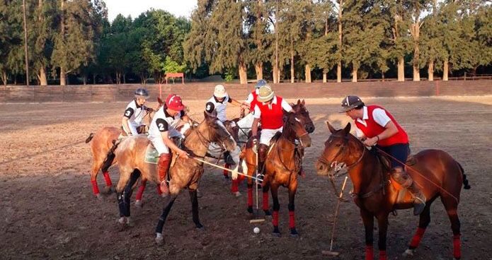 Argentina Polo Holidays | Is Arena Polo Strategy Different from Grass Polo, and Why?